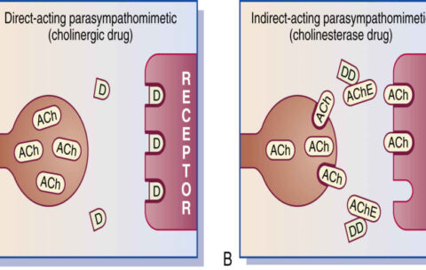 20251005_173723_1827646359